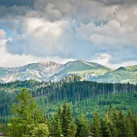 Chalet Dom Na Groniu Kościelisko